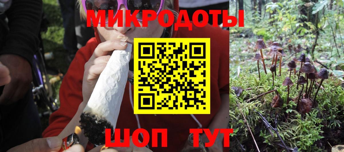 Дубна  Псилоцибиновые грибы Psilocybe  Вход с VPN 